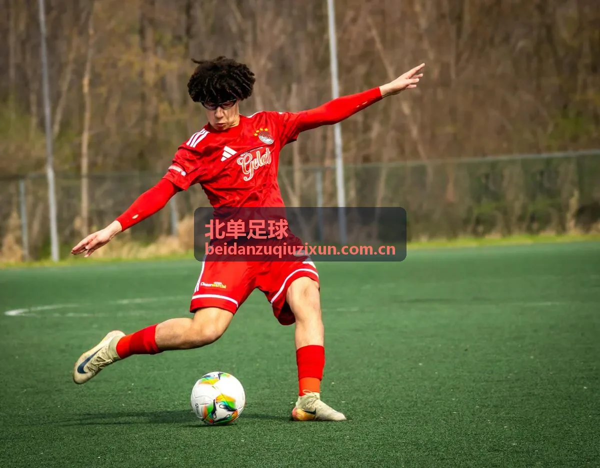 北单足球资讯平台数据服务界面展示